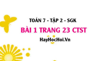 Bài 1 trang 23 Toán 7 Tập 2 Chân trời sáng tạo